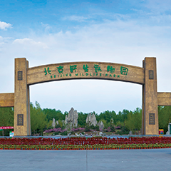 pp电子游戏·模拟器(试玩)官方网站