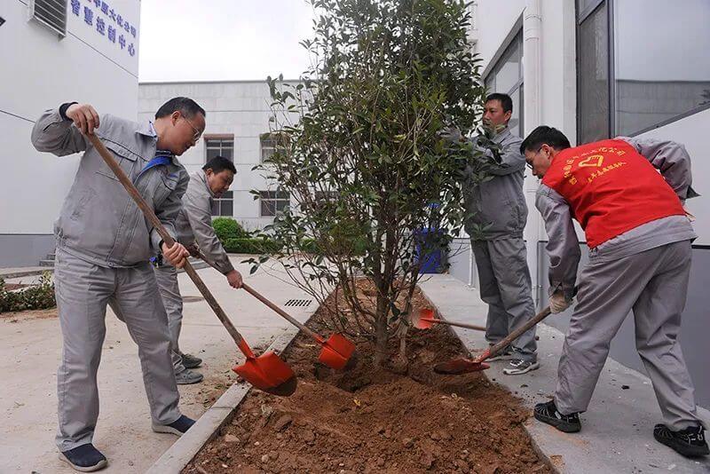 植树节  共绘“人与自然协调共生”新画卷