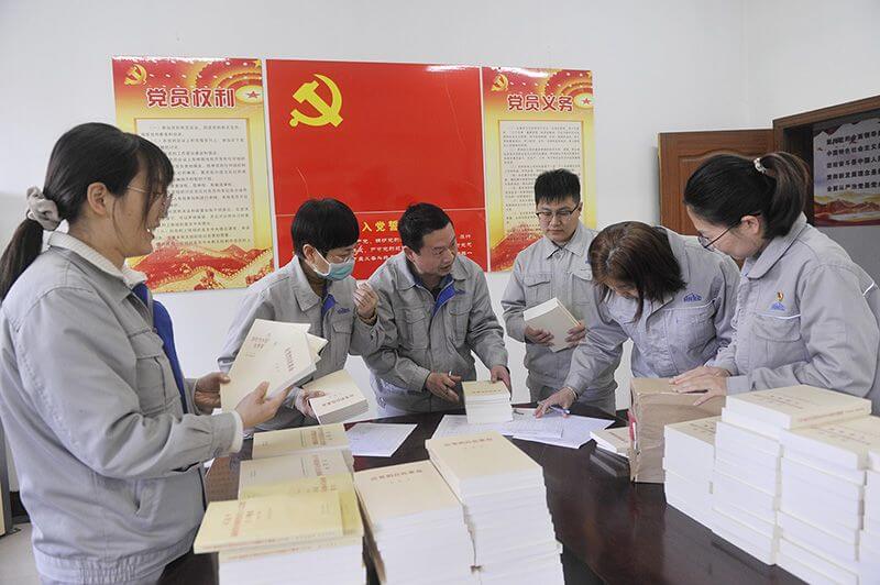 公司党委深入开展学习贯彻习近平新时代中国特色社会主义头脑主题教育